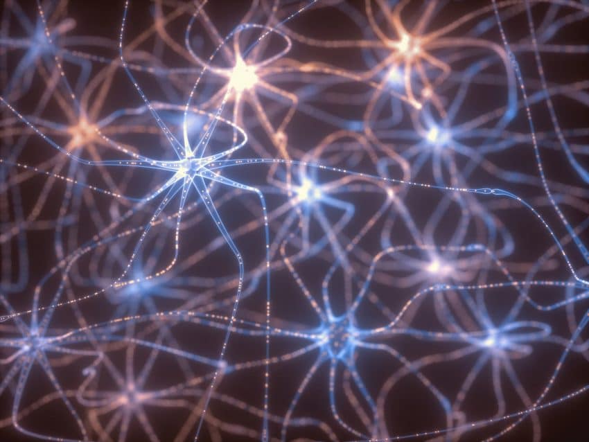animation of human body neurons